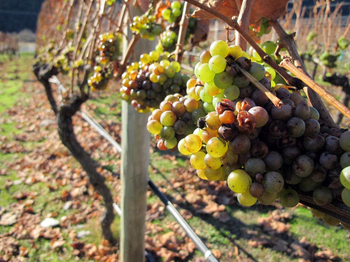 7 Headlines You Won’t Read Anywhere Else Today: Nov. 25