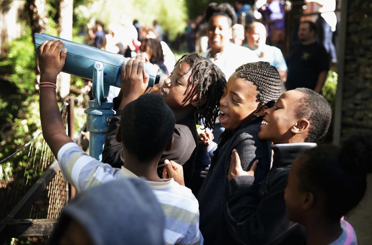 District Charter Schools Measure Up 