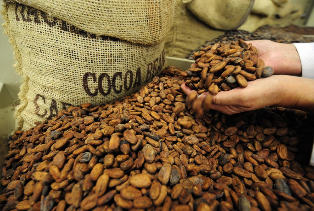 Coffee, Cocoa Brew Massive Gains in 2024