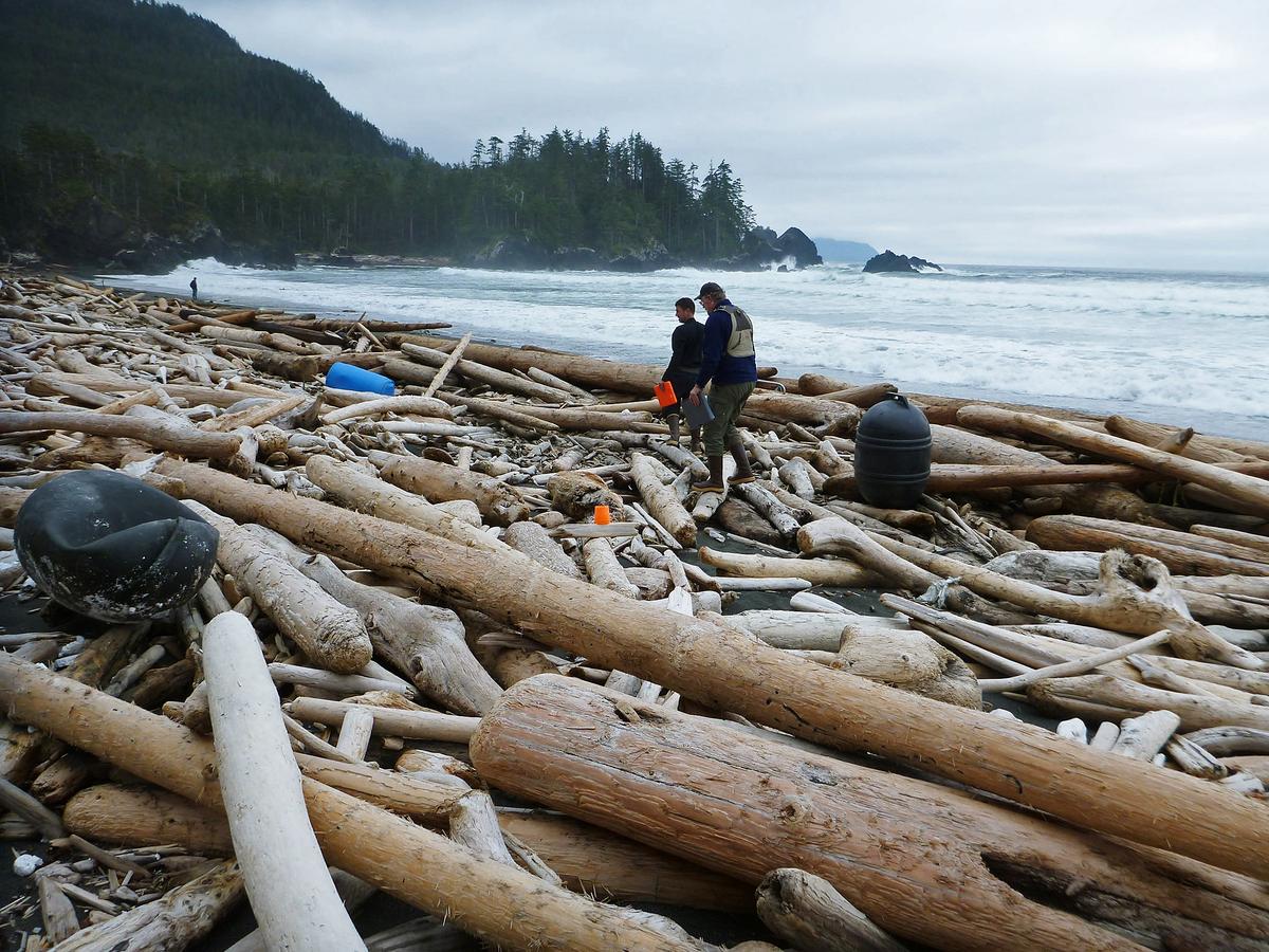 Tsunami Trash Island From Japan Tsunami Floating Toward US 