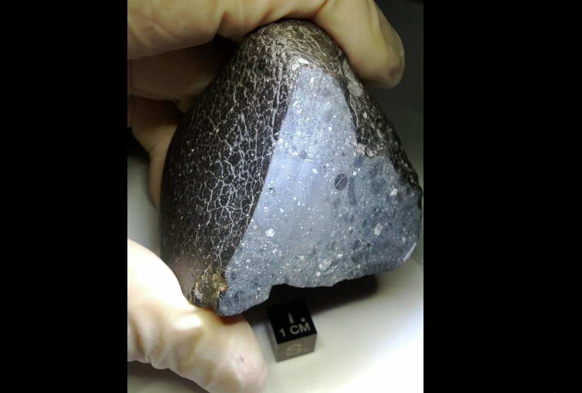 Black Beauty Meteorite Oldest Chunk of Mars Ever Found on Earth