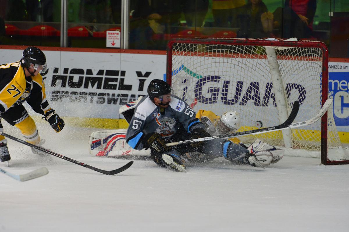 Sharks Tread Water as Aces and Tycoons Progress in HK Ice Hockey League