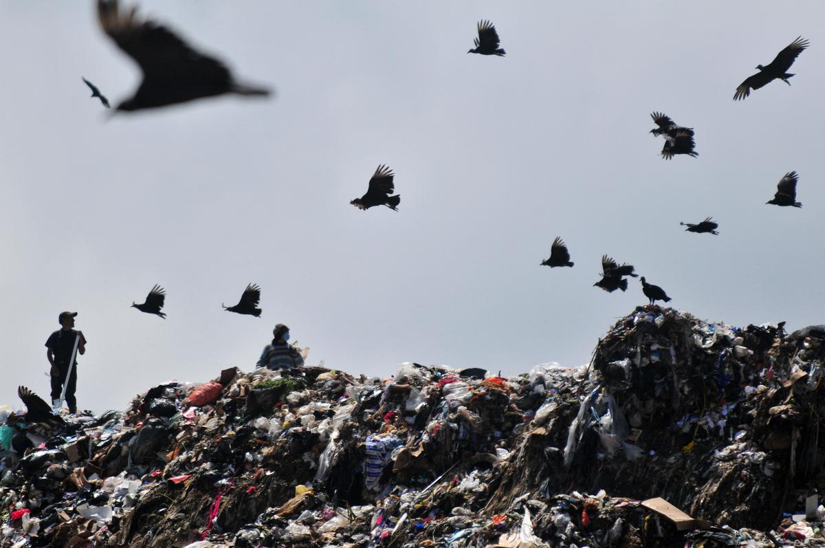 Our World in 7 Headlines: Nov. 10