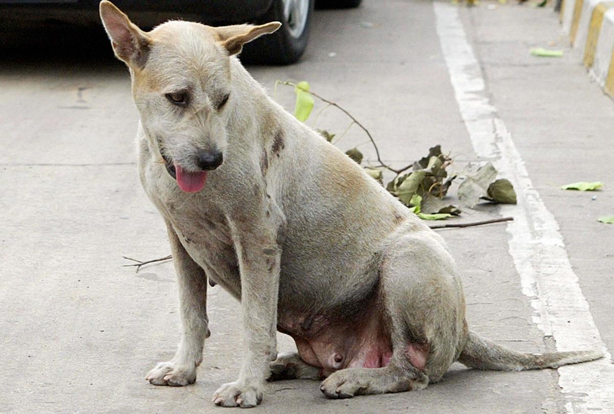 7 Headlines You Won’t Read Anywhere Else Today: Dec. 6