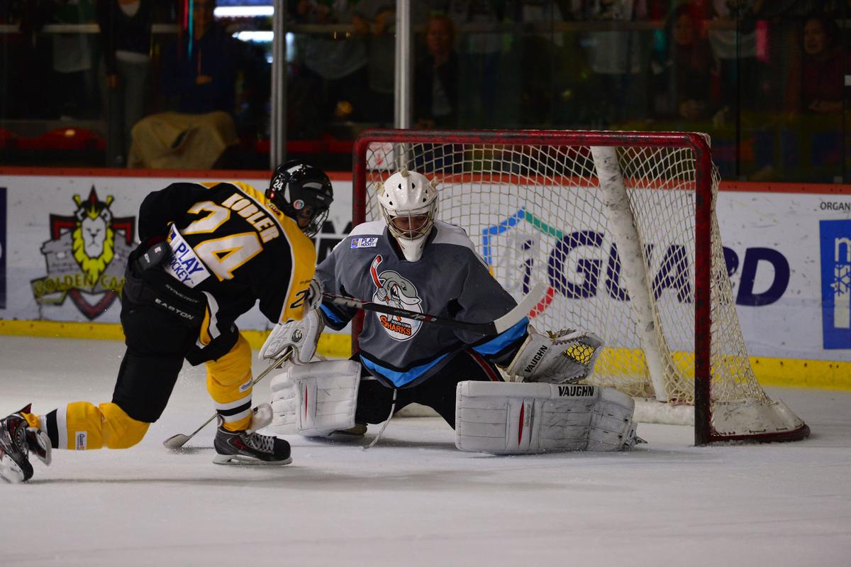 Shootout Decides Tycoons Win, Warriors Sink Again in CIHL