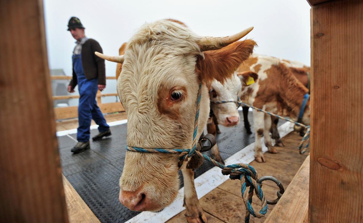 7 Headlines You Won’t Read Anywhere Else Today: Dec. 28