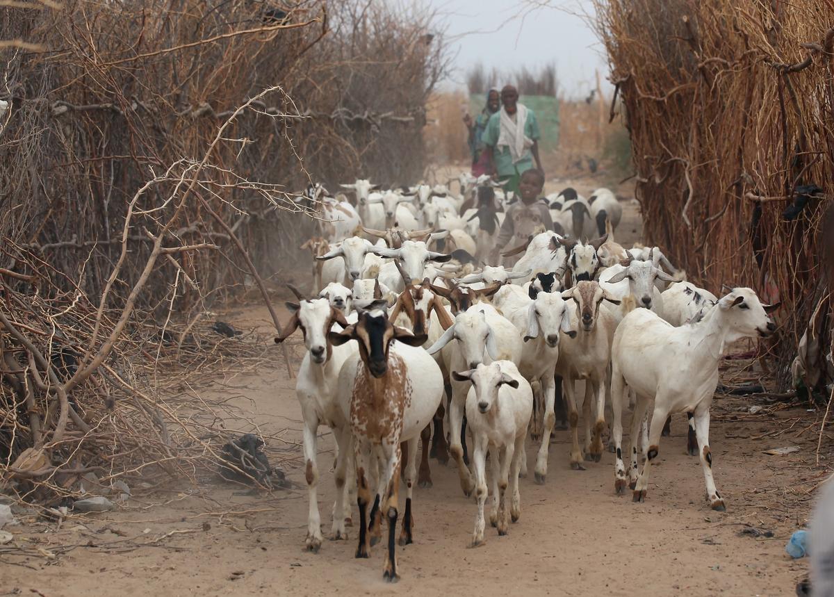 7 Headlines You Won’t Read Anywhere Else Today: Dec. 5