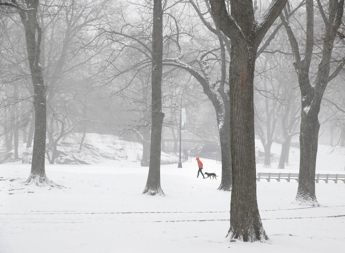 New York Snowstorm: MTA Cautions Passengers to Stay Home on Tuesday