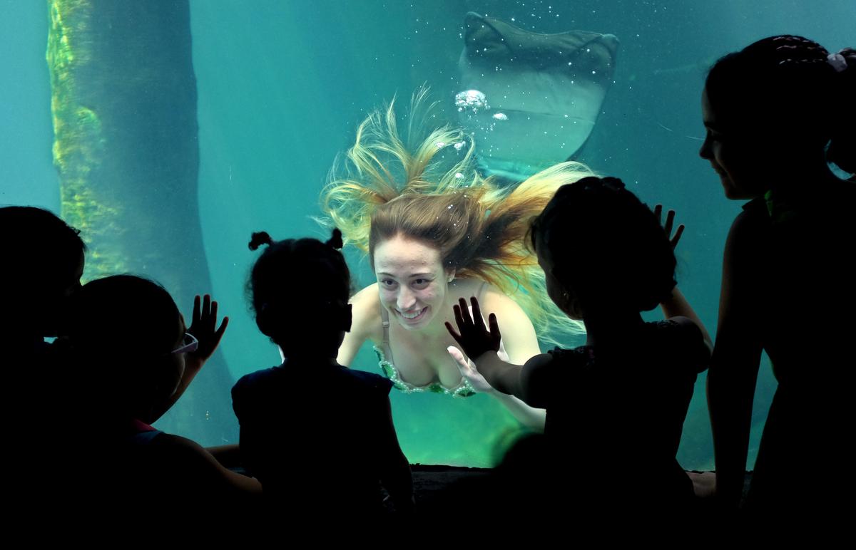 Mermaid Scam: ‘Mermaid New Evidence: Real Mermaids Caught On Camera 2014’ Video in Los Angeles is Fake