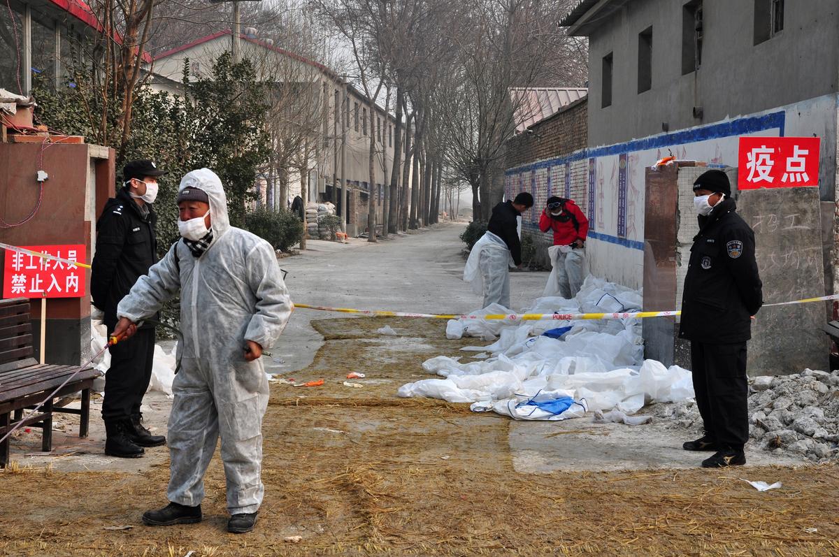 UN Warns of Bird Flu Increase in China