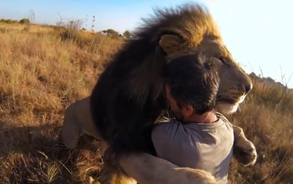 Watch ‘Lion Whisperer’ Kevin Richardson Cuddle with Lions, Hyenas (+Video)