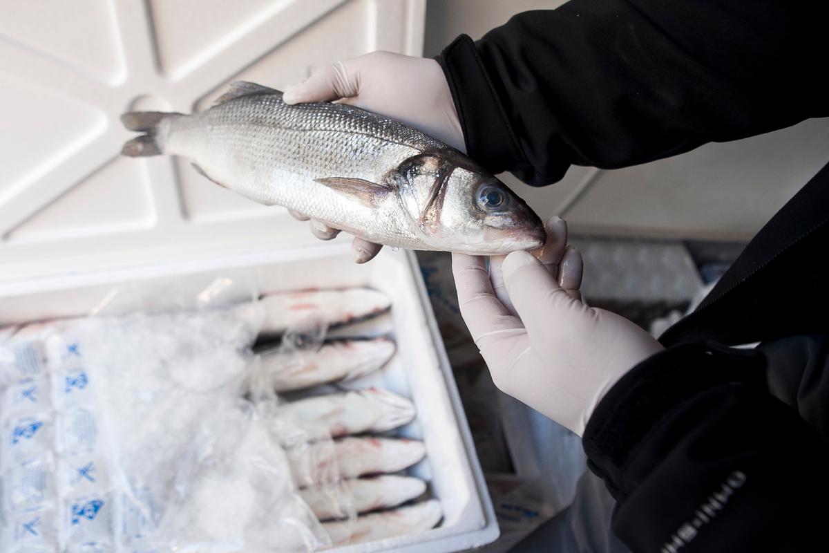 Turning Fish-Selling Into an Art