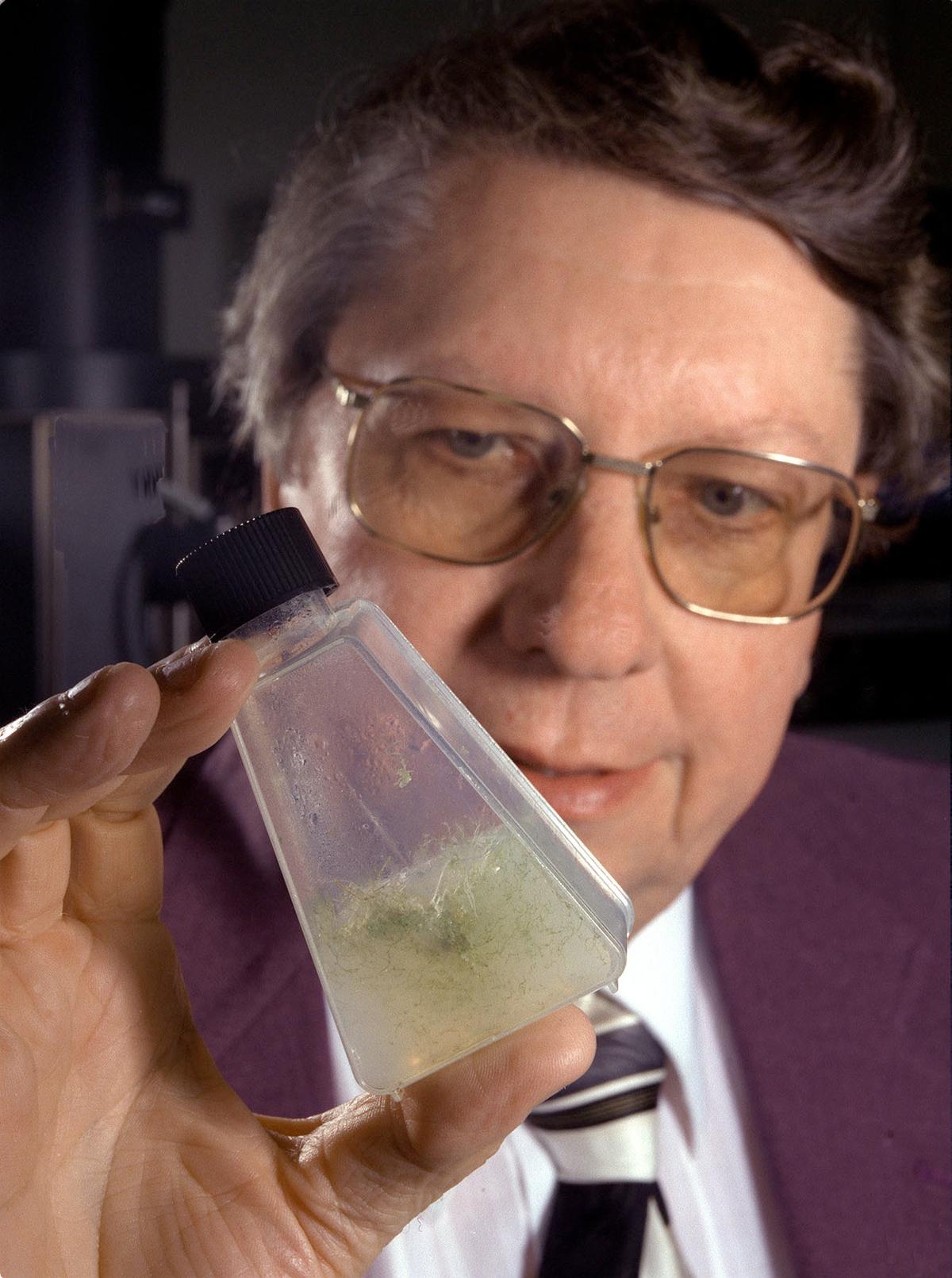 NASA Scientists Who’ve Said They Found Alien Life