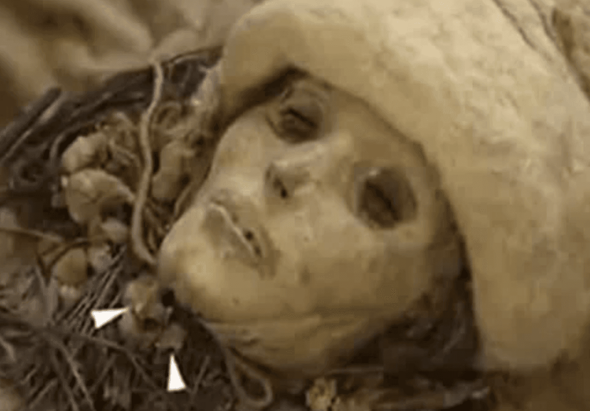 Oldest Known Cheese Discovered on Mummies in China