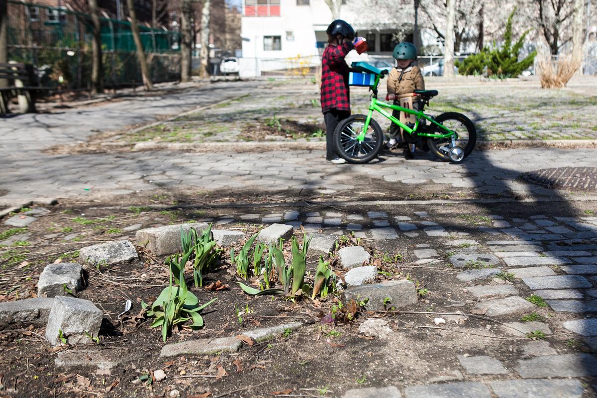 13 Ideas to Fund NYC Parks