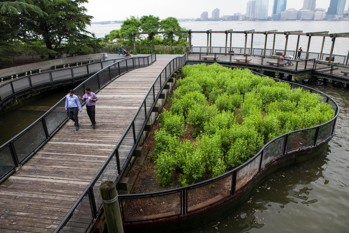 A Tale of Two Schools