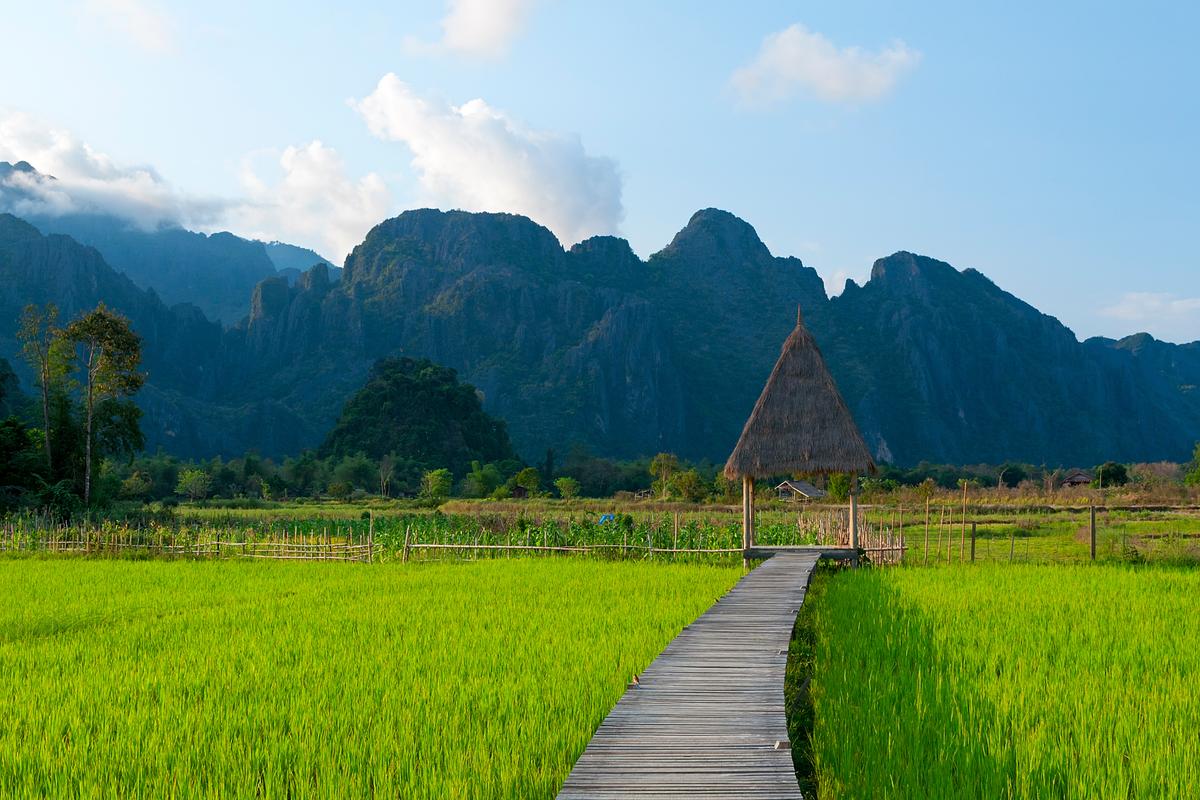 Magical Thailand: A Journey Through Food