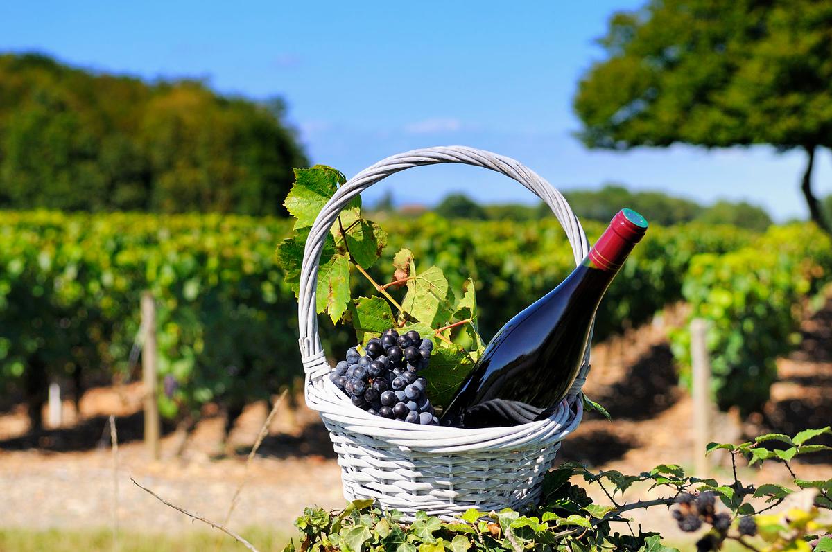 Burgundy’s Gifts to the World