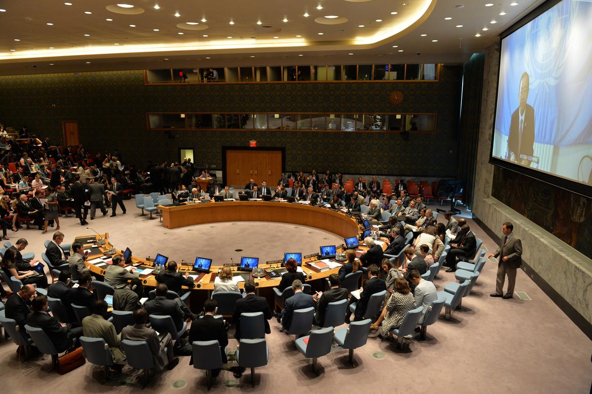 Who Uses Veto in UN Security Council Most Often—and for What?