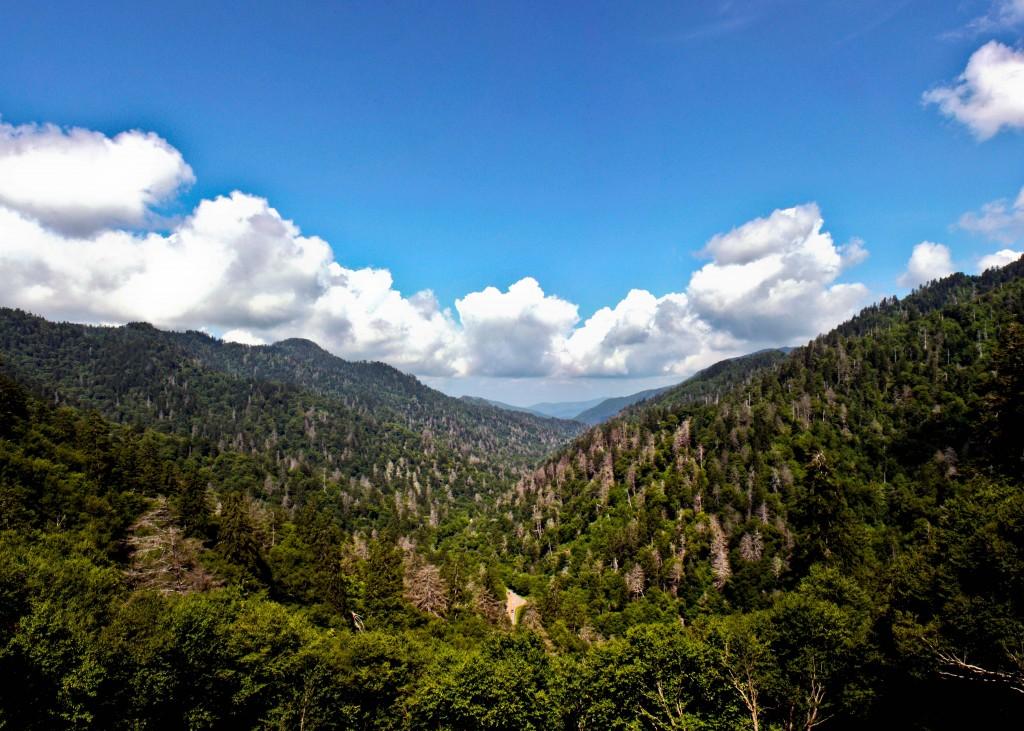 Top Things to Do in the Smoky Mountains