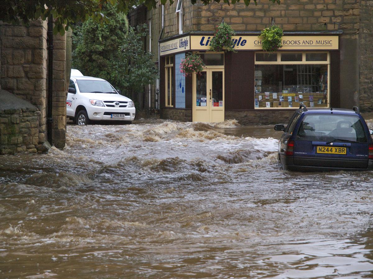 Rivers and Swarms: How Metaphor Fuels Anti-Immigrant Feeling