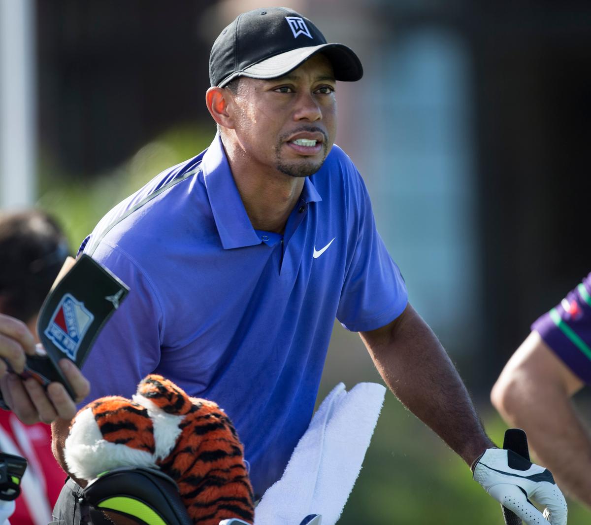 Tiger’s Passion? Punt or Play in 2015?