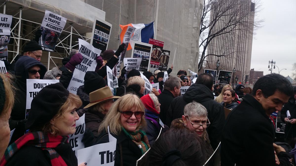 Horse Carriage Ban Supporters Celebrate Introduction of Bill