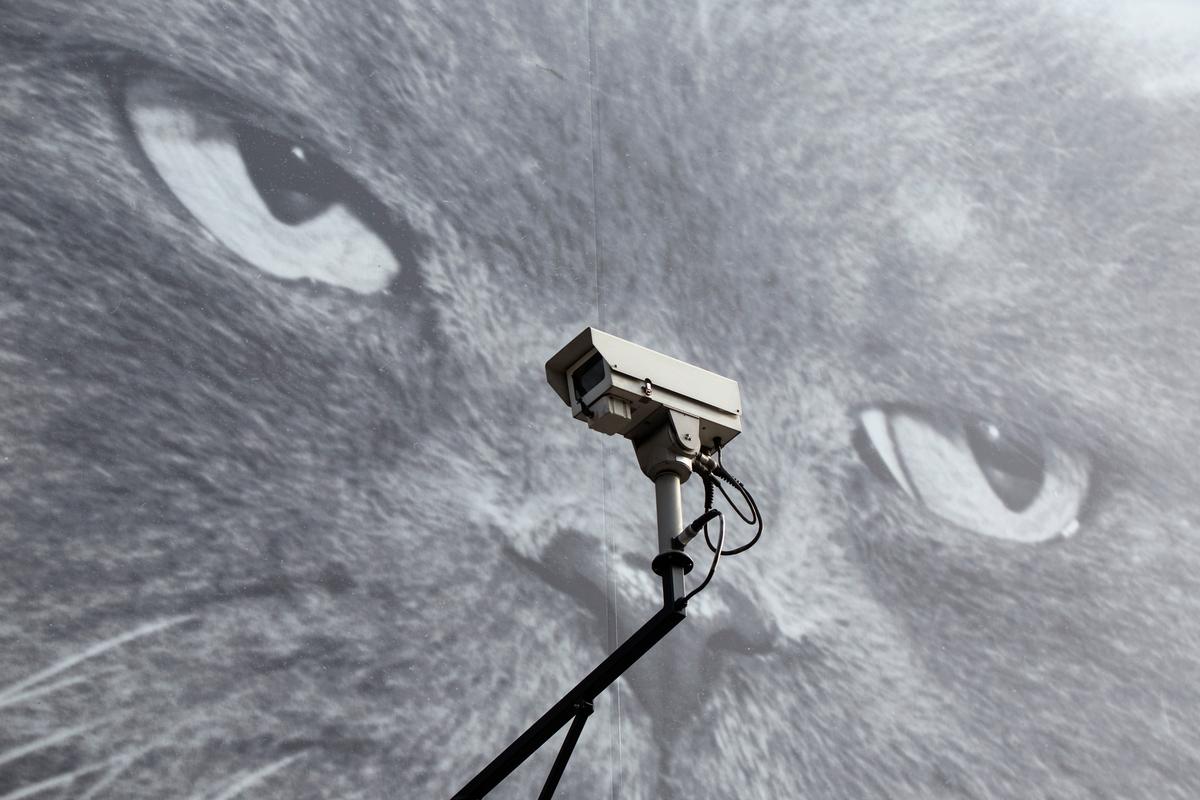 Access Denied: How Security Is Transforming Public Space