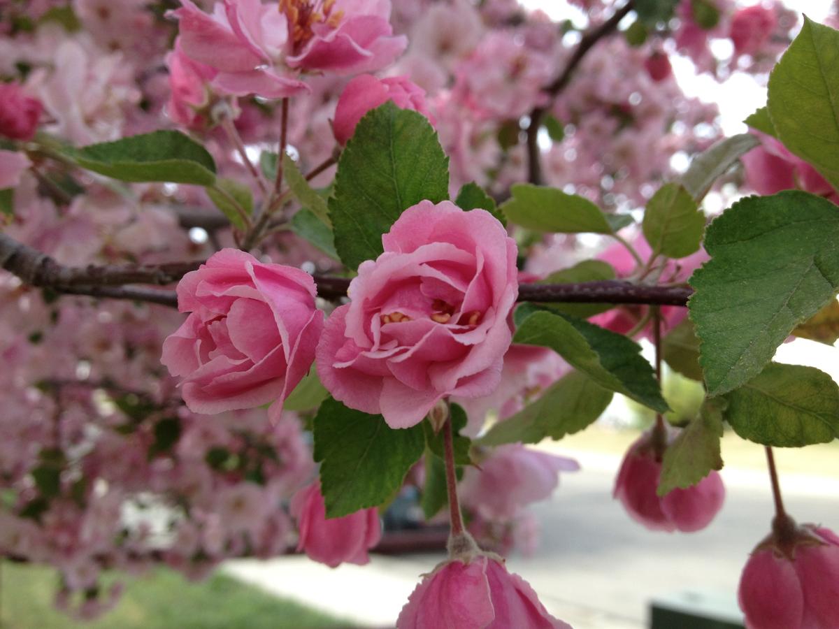 18 Healthy Lifestyle Ideas For Couples To Enhance Their Relationships