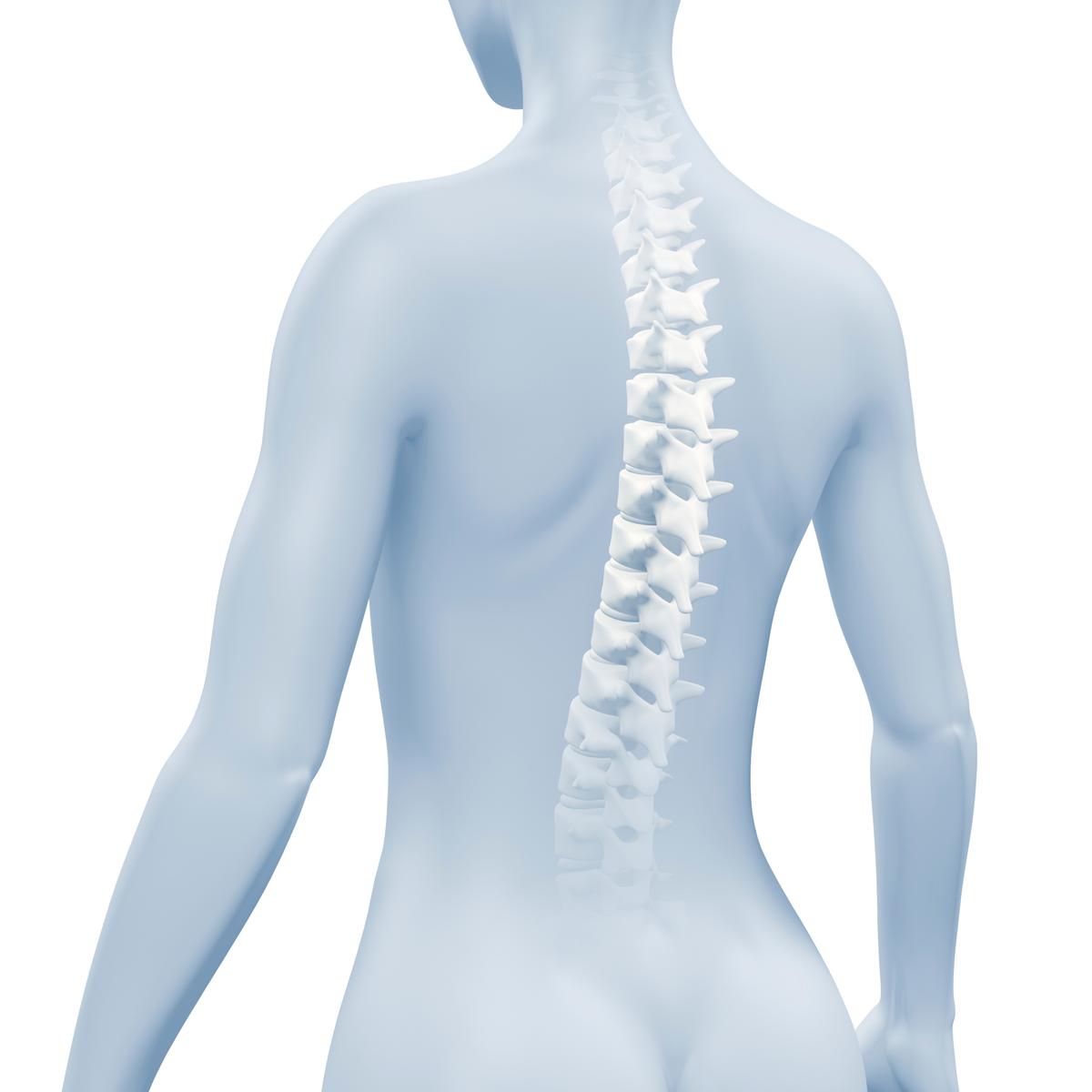 How to Keep a Healthy Spine