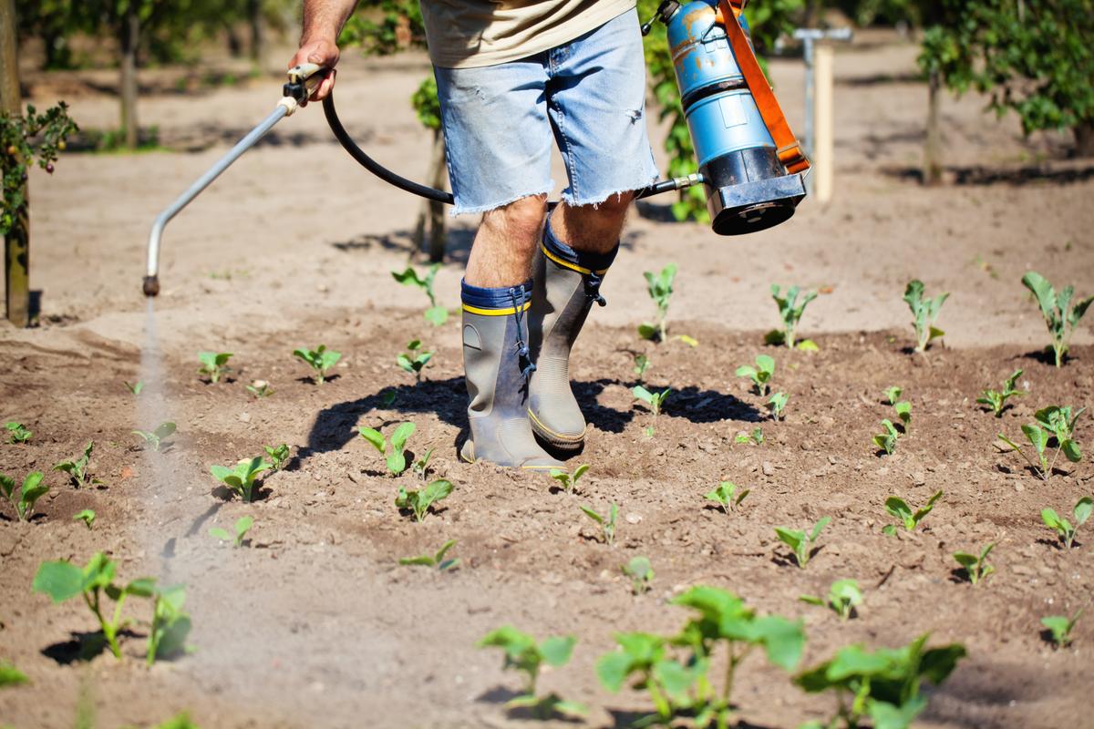 ‘Safe’ Pesticide Could Be An ADHD Culprit