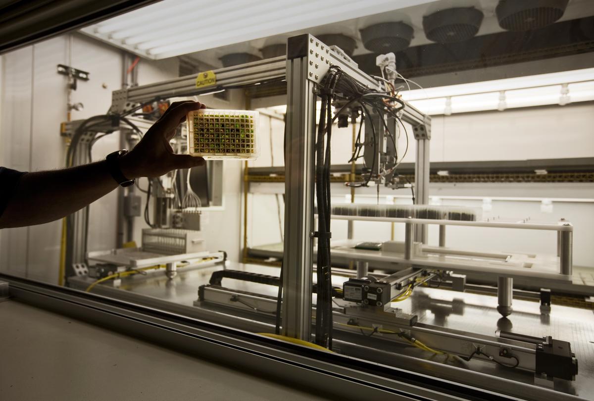 Monsanto Rejects Finding That Roundup Herbicide Is Carcinogenic