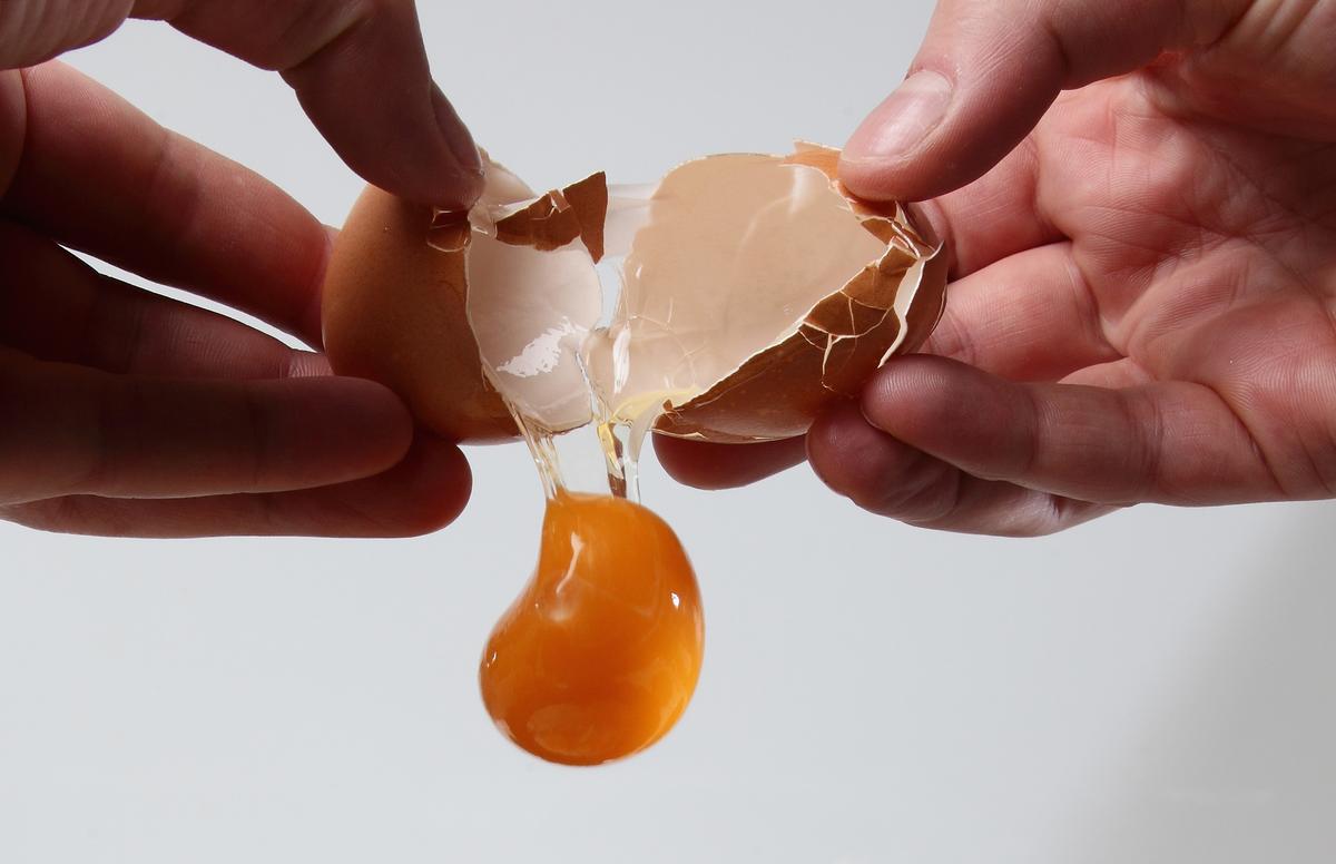 New Study Confirms––Eggs Are A Stroke In A Shell