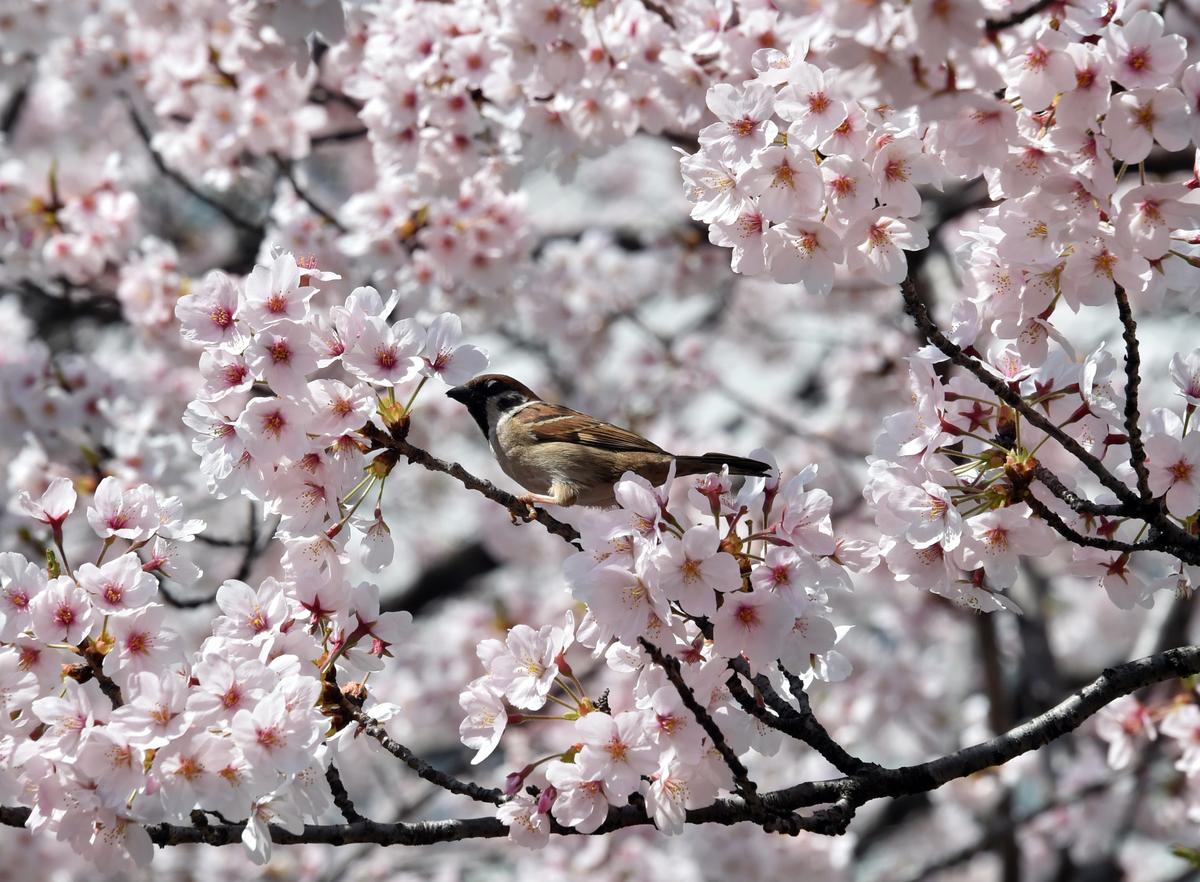 Photos of the Day – April 2015