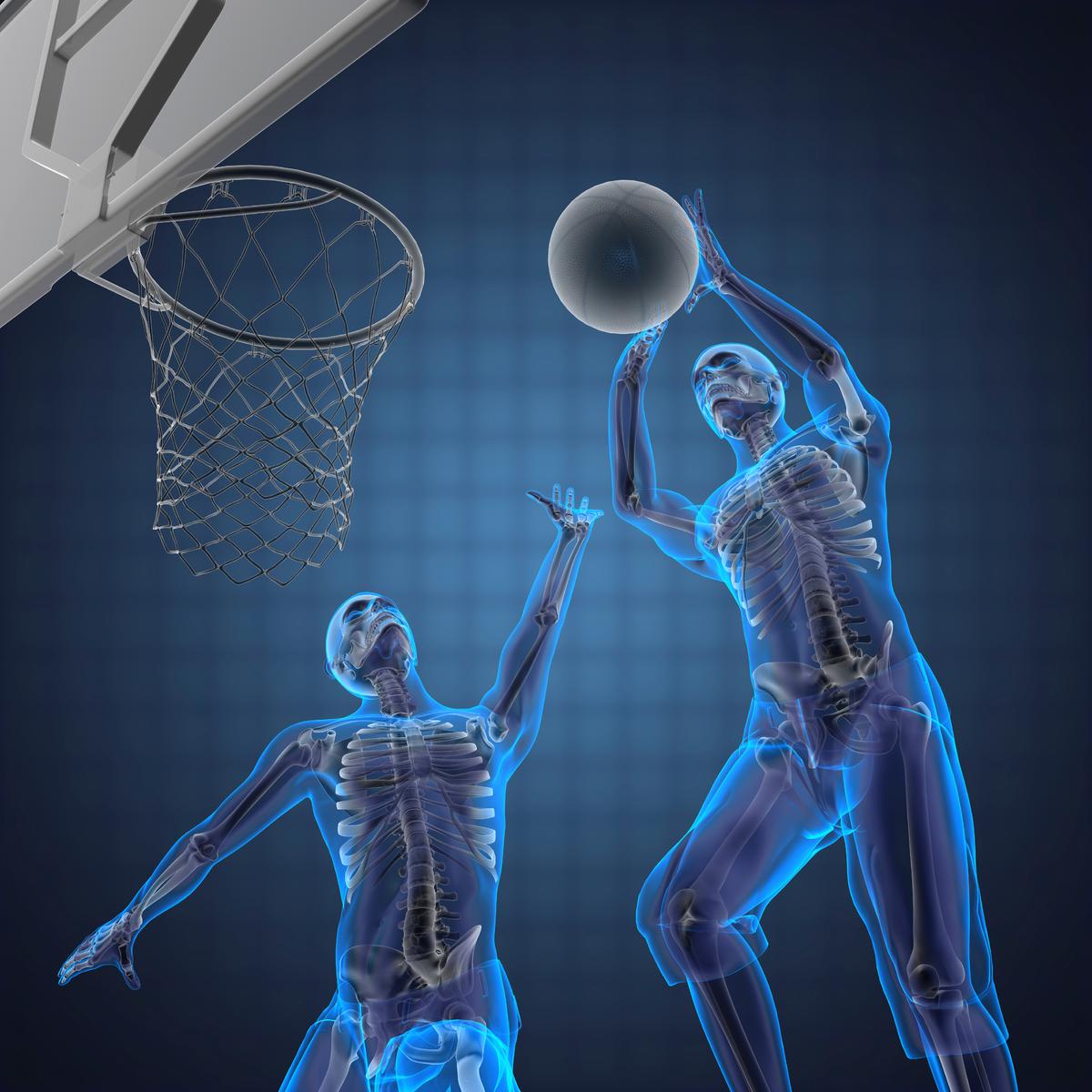 Brainy Bones: The Hidden Complexity Inside Your Skeleton