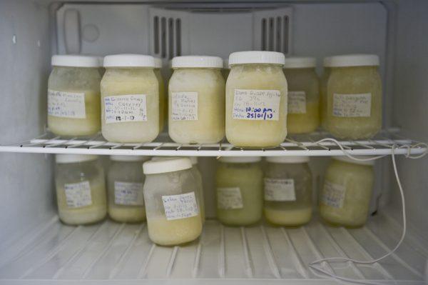Containers with breast milk. (Ernesto Benavides/AFP via Getty Images)