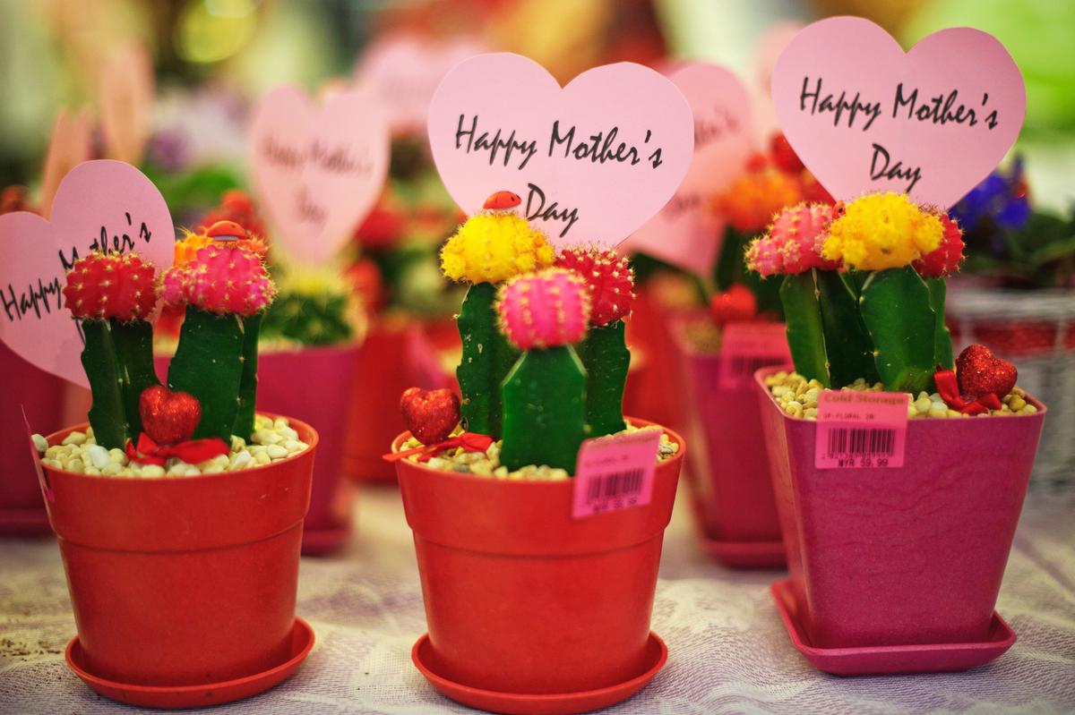 Why the Founder of Mother’s Day Wanted It Banned