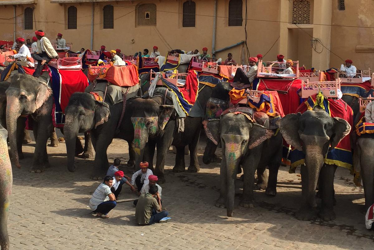 The Consummate Traveler – A Weekend in Jaipur
