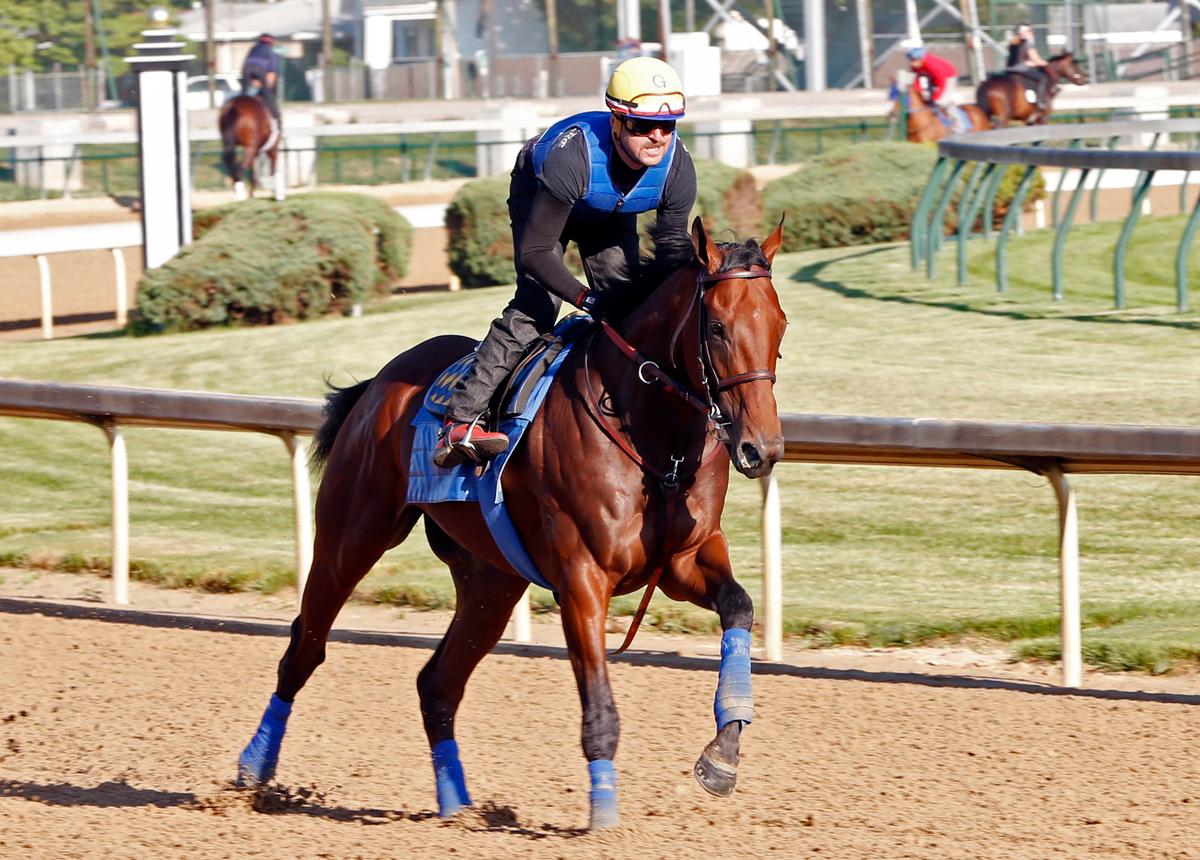 American Pharoah Owner Gets Gambling Suit Dismissed