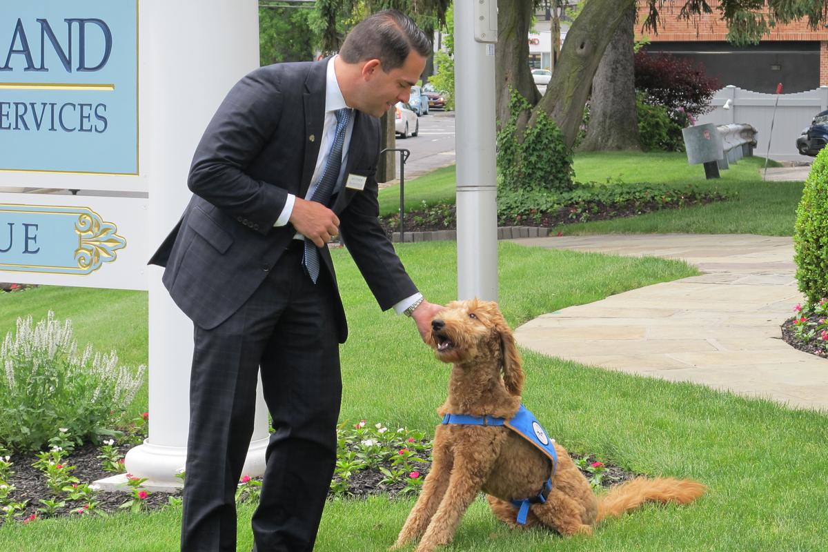 Funeral Homes Increasingly Using Dogs to Comfort Mourners