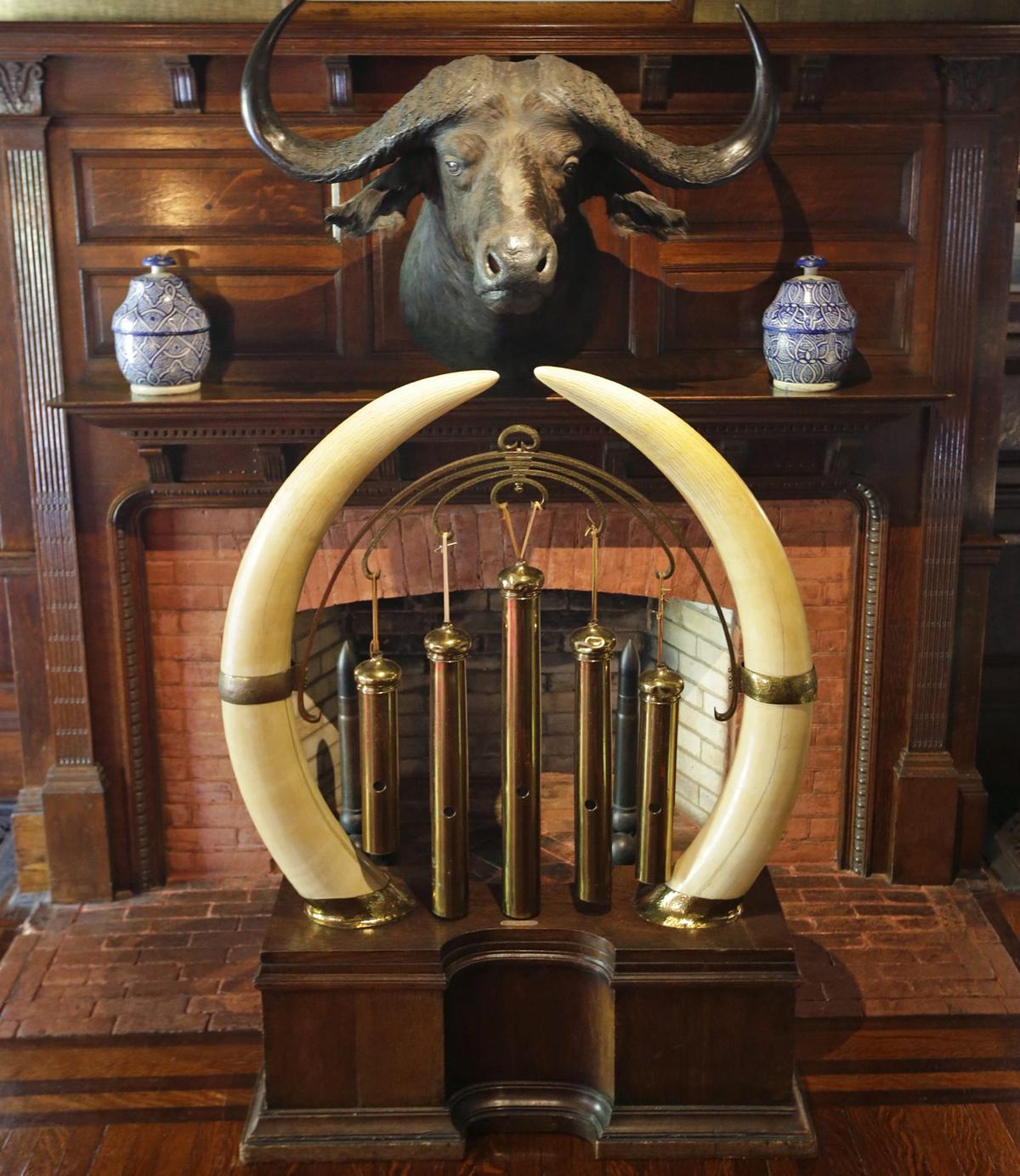 Are We Reaching the Point Where Public Figures’ Animal Violence Will No Longer Be Tolerated?