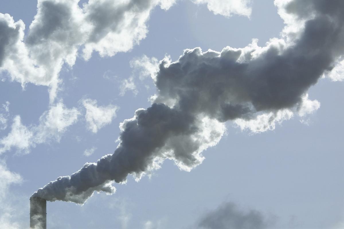 Abnormal Birth Rates in Canadian Native Reserve