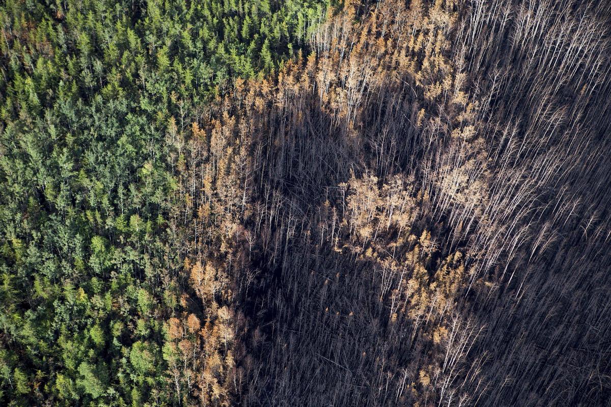 About 1,000 Saskatchewan Fire Evacuees Get the All Clear to Head Home