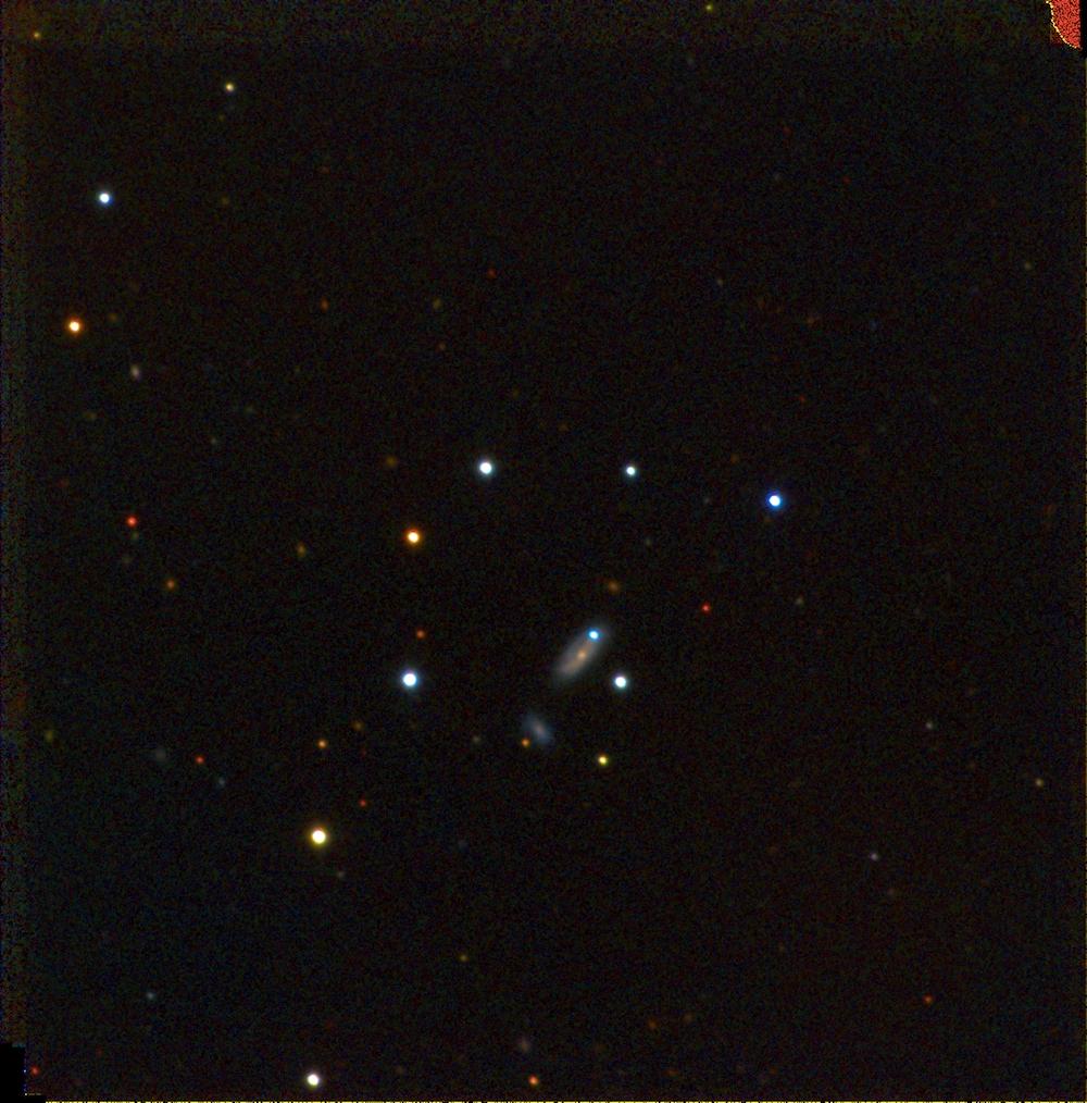 Seemingly Similar Supernovae Have Vastly Different Origins