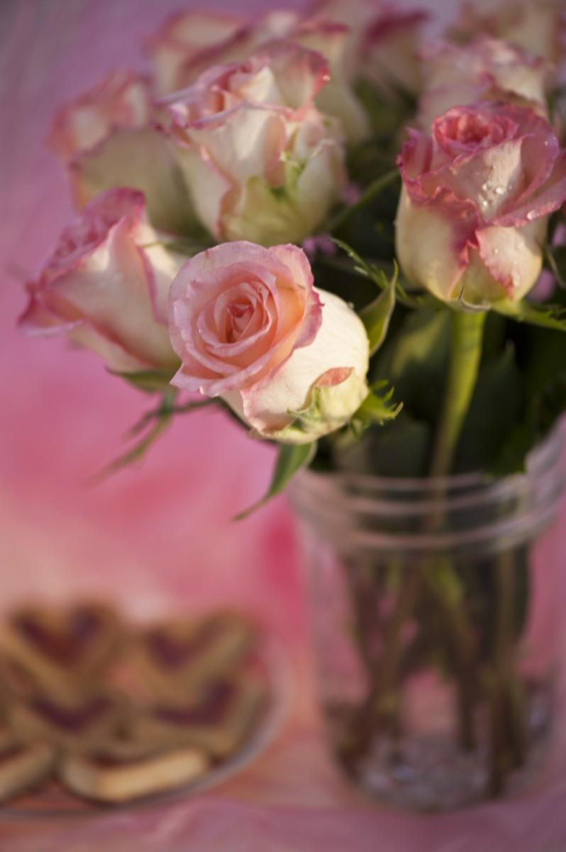 Roses for Valentine’s Day