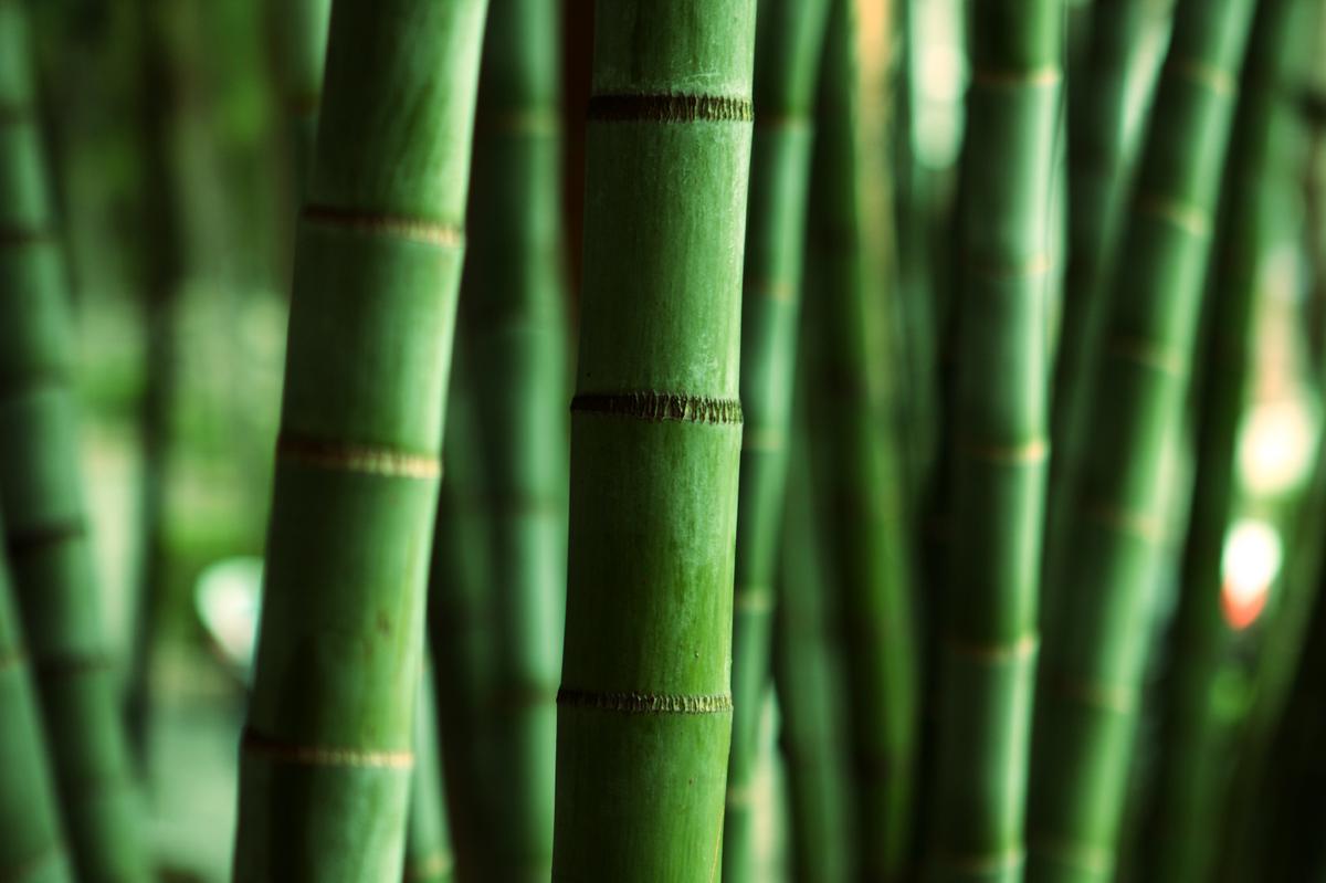 How a Bamboo Bedding Set Keeps You Cool on Scorching Summer Nights