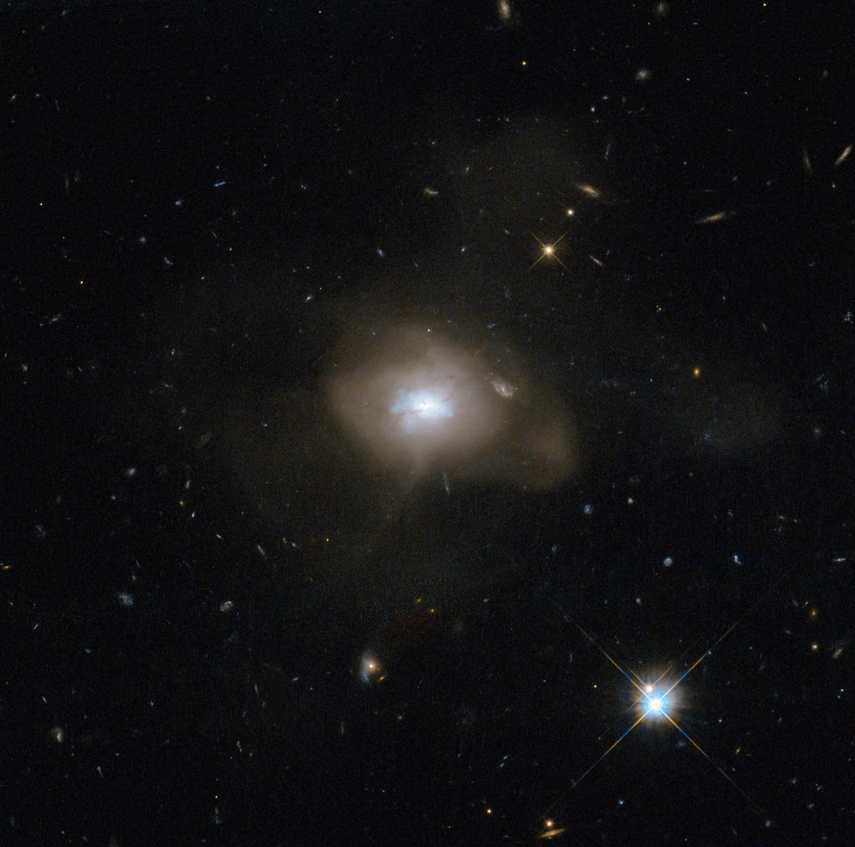 Move Over Milky Way, Elliptical Galaxies Are the Most Habitable in the Cosmos