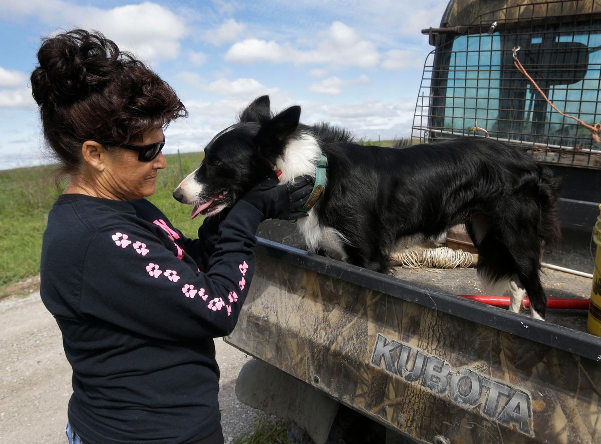 Specially Trained Dogs Help out Farmers With Disabilities