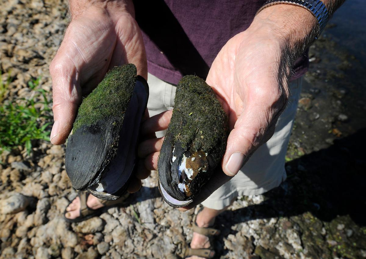 Local Teachers Learn to Make the Outdoors Their Classroom