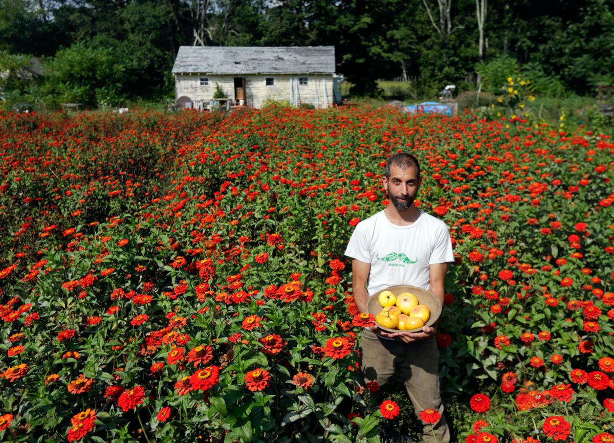 Hudson Valley Organic Farm Produces Seeds Largely by Hand